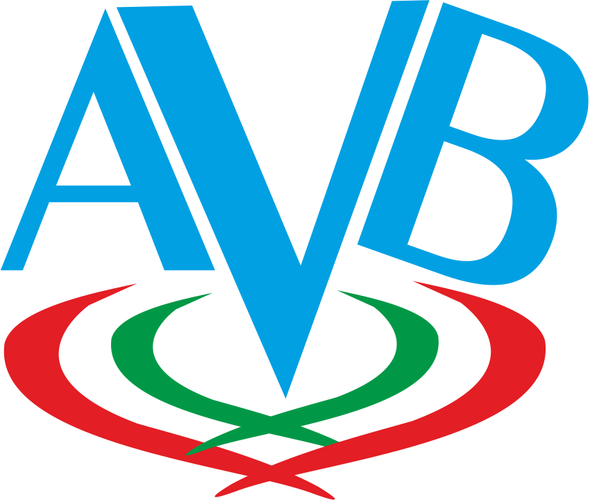 AVB Srls